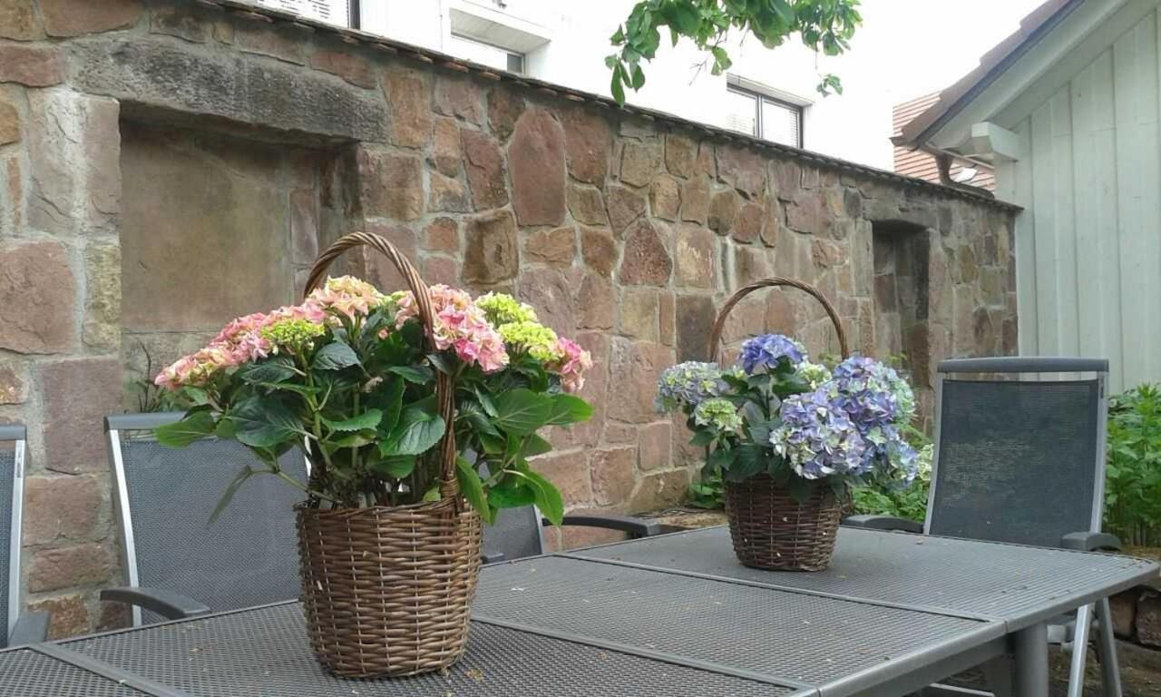 Galerie Ueber Den Gaerten Herbolzheim Ngoại thất bức ảnh
